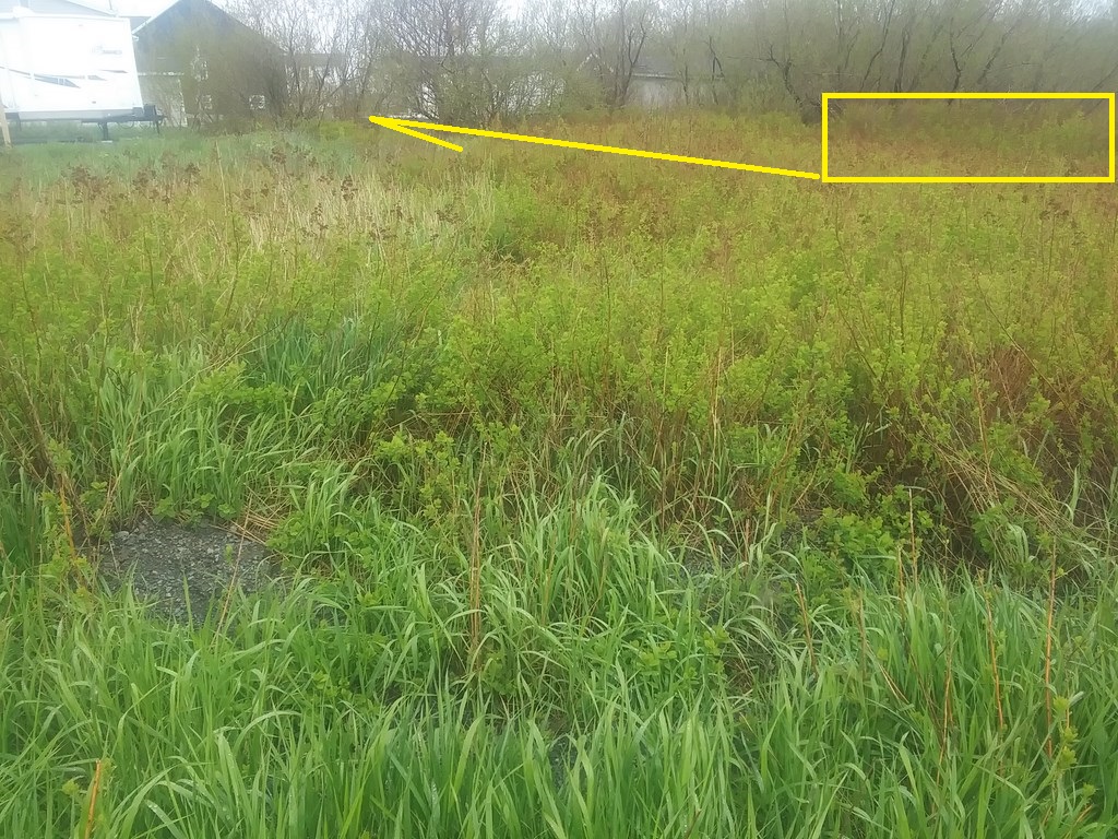 Christopher Greaves SecondEssays_20240606_102324.jpg